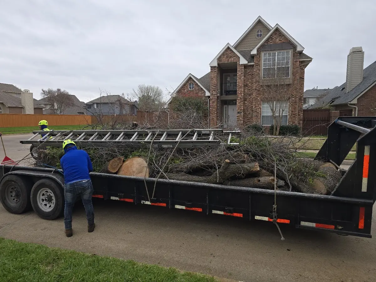 Expert Tree Fertilization with proper safety equipment in Bernardsville